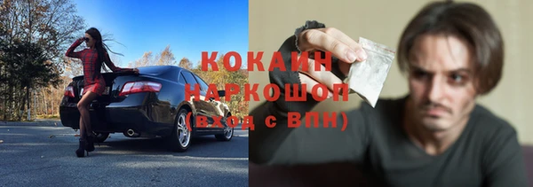 apvp Богданович