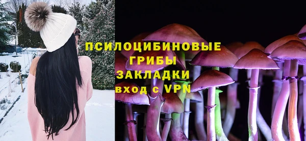 apvp Богданович