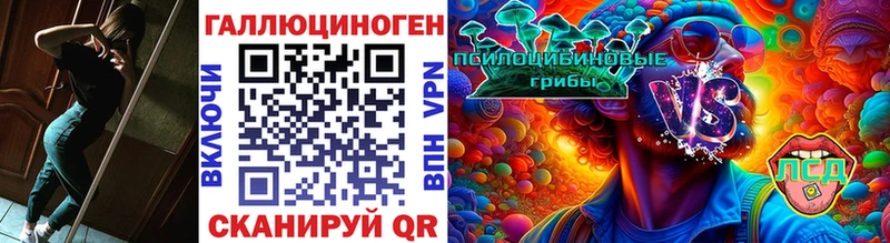 купить наркотики цена Гусев Псилоцибиновые грибы мицелий